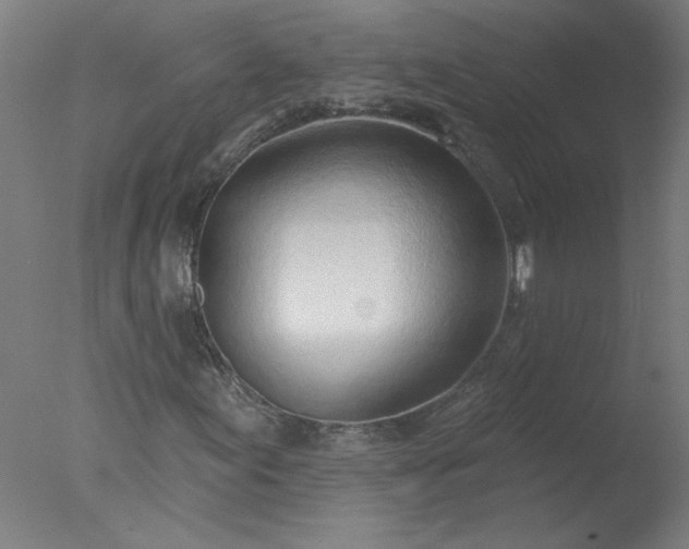 X0000077401155200610272031