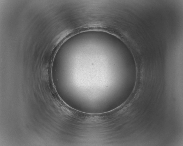 X0000077401162200610272031