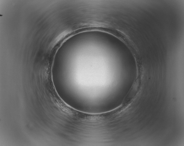 X0000077401163200610272031