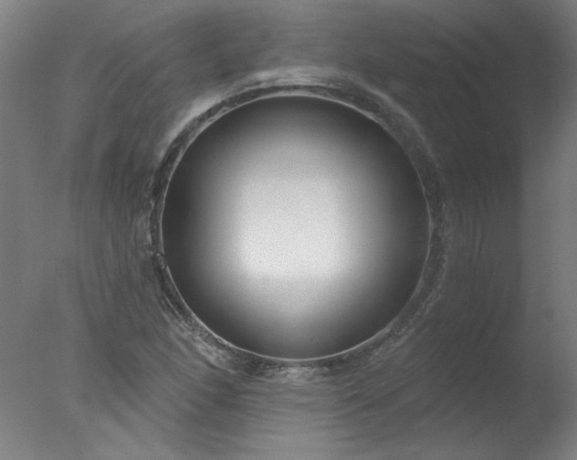 X0000077401166200610272031