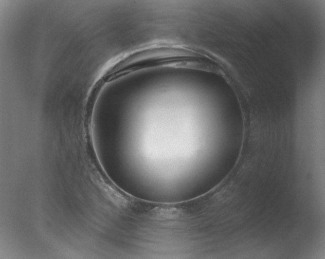 X0000077401168200610272031