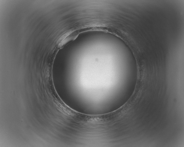X0000077401169200610272031