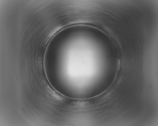 X0000077401177200610272031