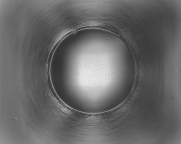 X0000077401178200610272031