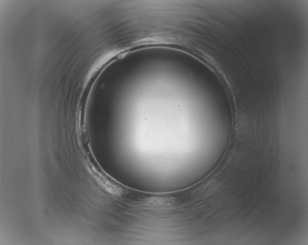 X0000077401179200610272031