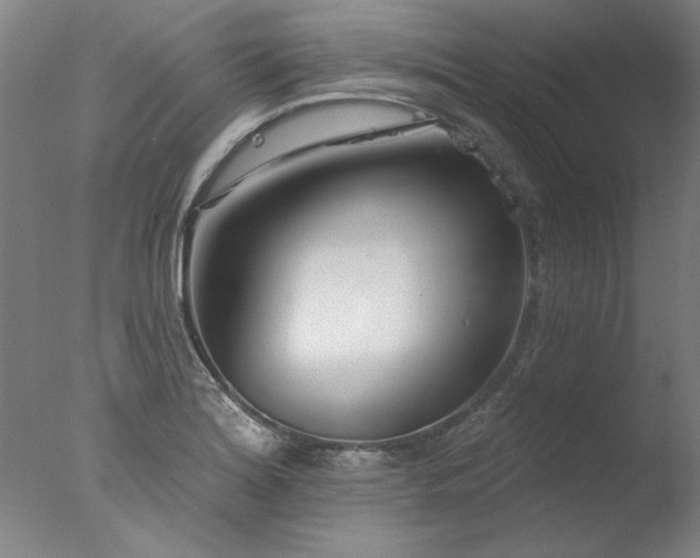 X0000077401180200610272031