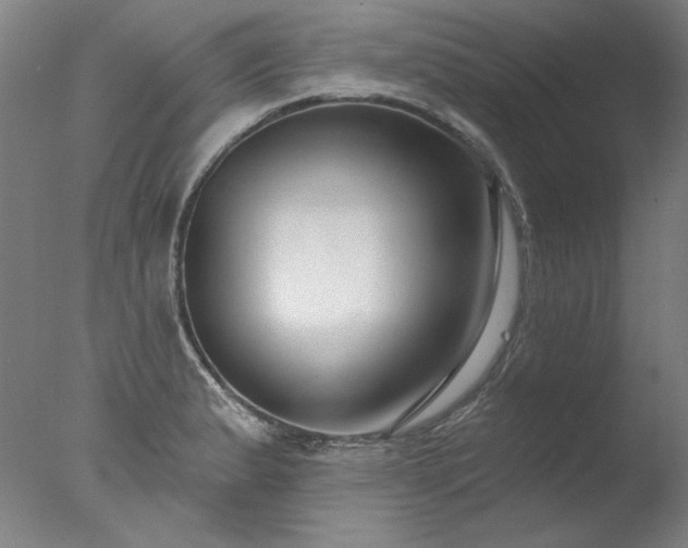 X0000077401183200610272031