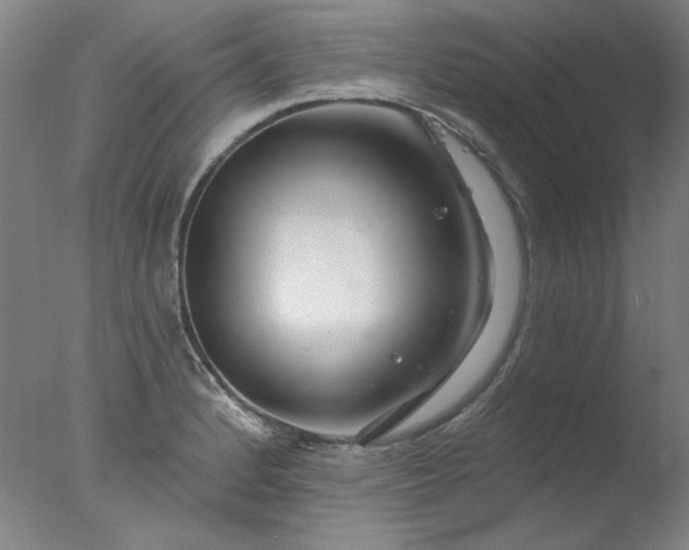X0000077401184200610272031