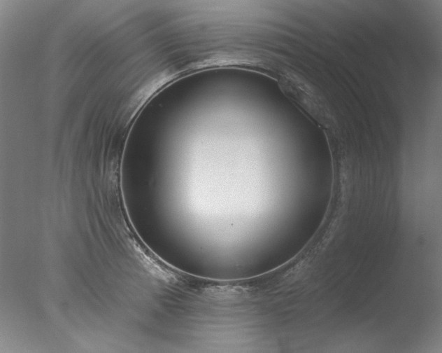 X0000077401185200610272031