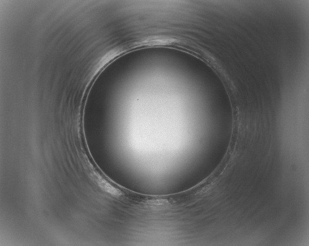 X0000077401186200610272031