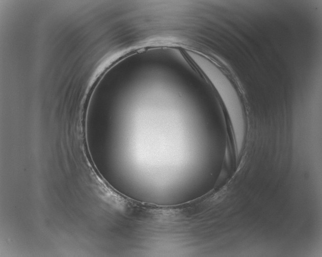 X0000077401192200610272031