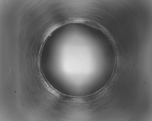 X0000077401194200610272031