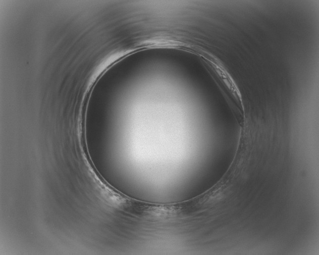 X0000077401195200610272031