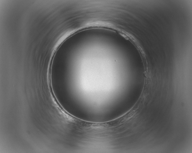 X0000077401199200610272030