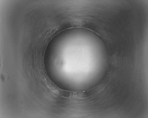 X0000077401201200610272030