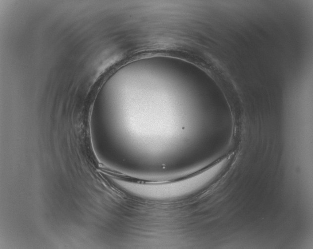 X0000077401210200610272030