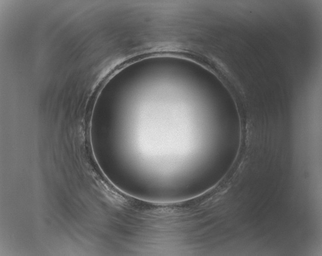 X0000077401212200610272030