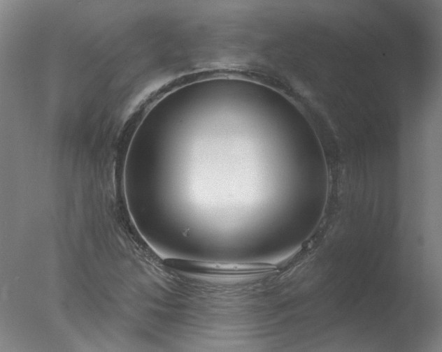 X0000077401214200610272030