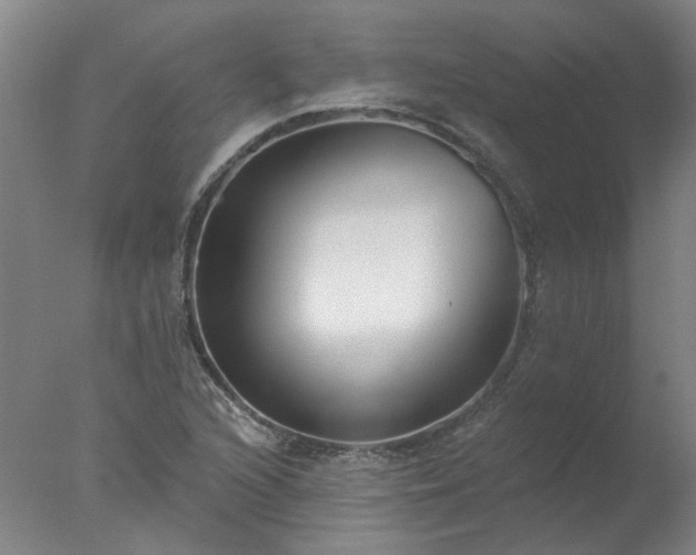 X0000077401216200610272030