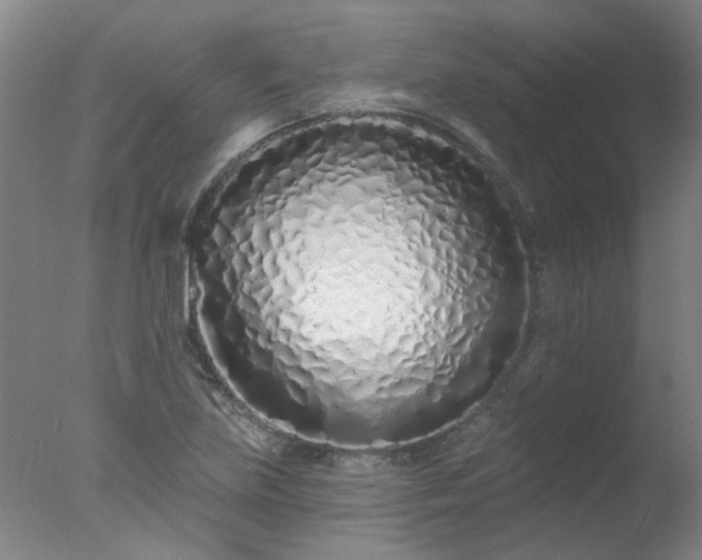 X0000077401219200610272030