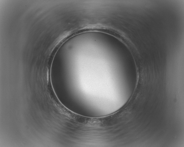 X0000077401221200610272030