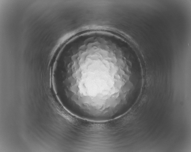 X0000077401223200610272030