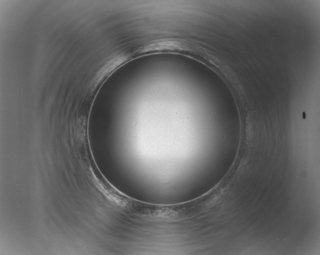 X0000077401233200610272030