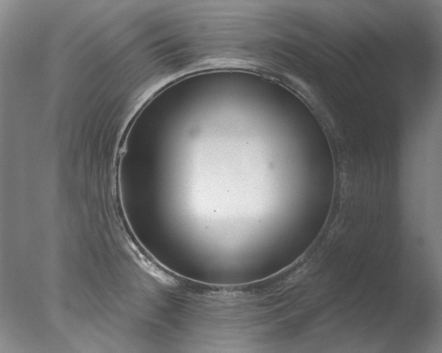 X0000077401236200610272030