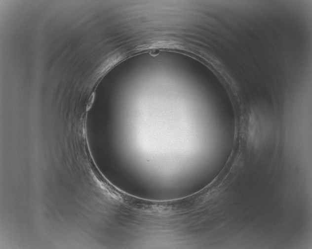X0000077401241200610272030