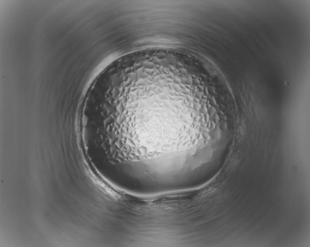 X0000077401243200610272030