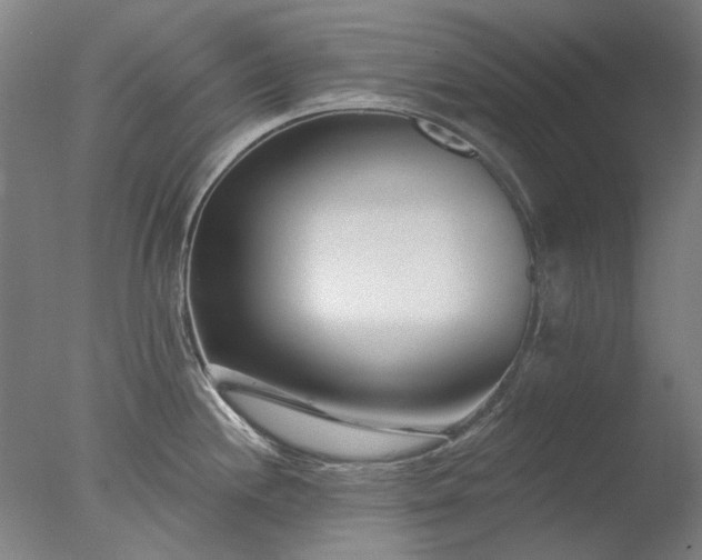 X0000077401244200610272030