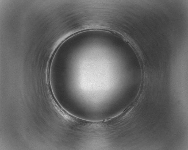 X0000077401246200610272030