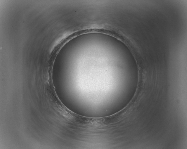 X0000077401262200610272029