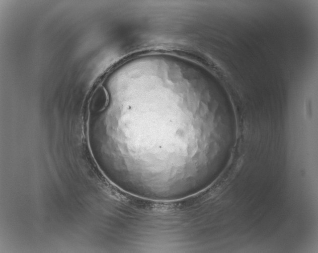 X0000077401267200610272029
