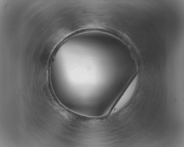 X0000077401268200610272029