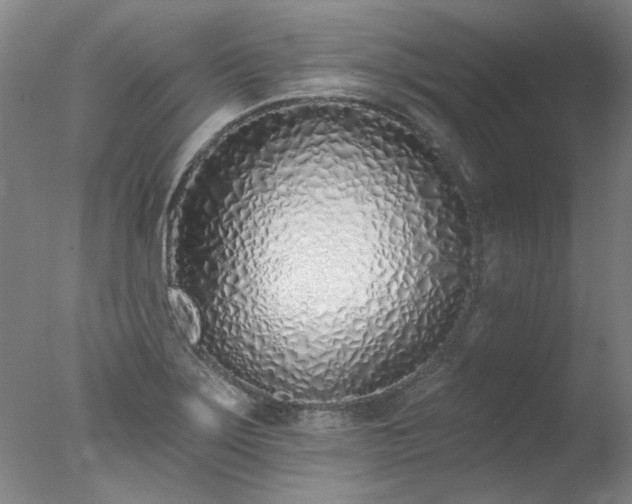 X0000077401275200610272029