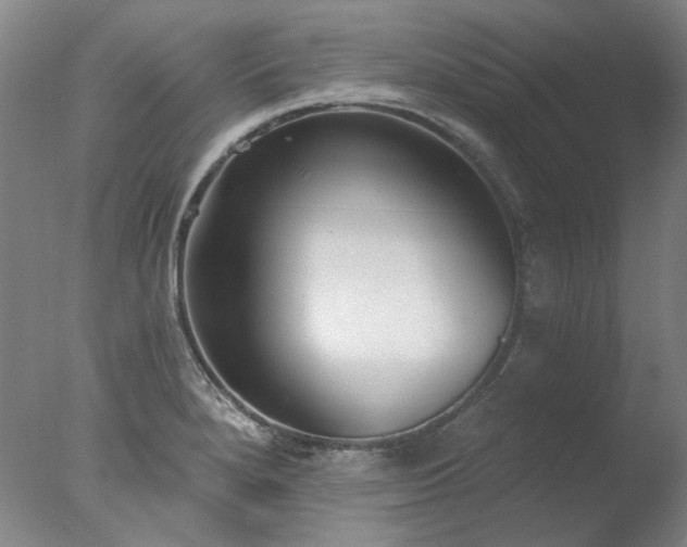 X0000077401280200610272029
