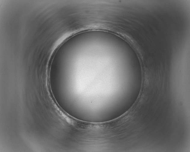 X0000077401286200610272029