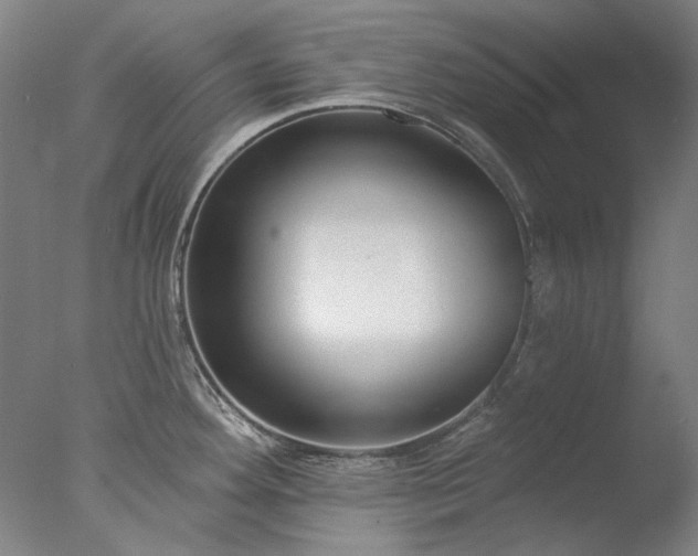 X0000077401292200610272029