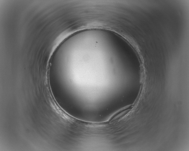 X0000077401296200610272029