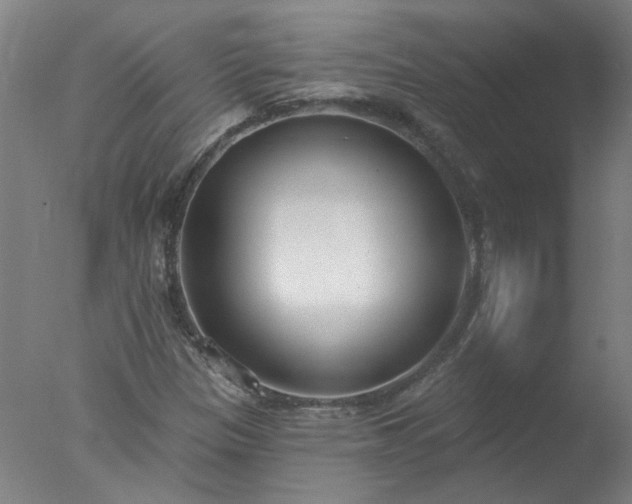 X0000077401305200610272028