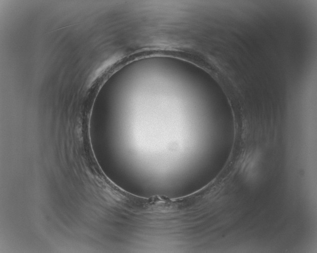 X0000077401307200610272028