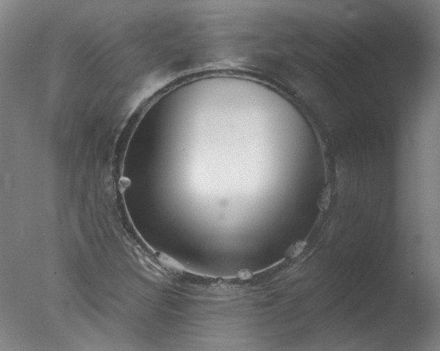 X0000077401308200610272028
