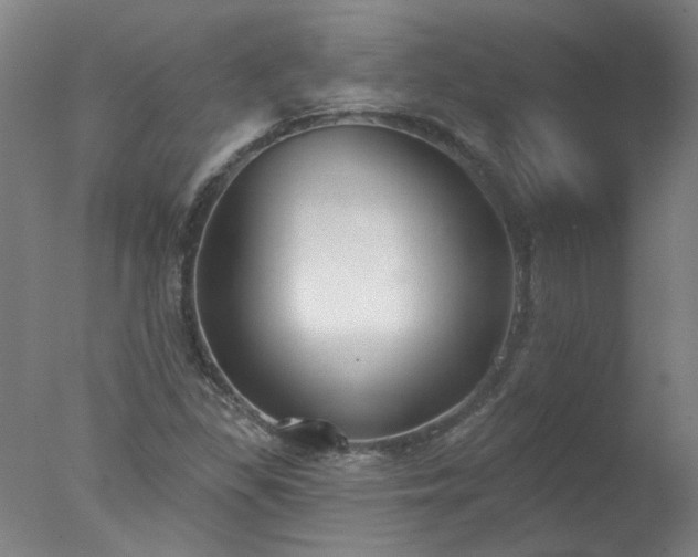 X0000077401309200610272028