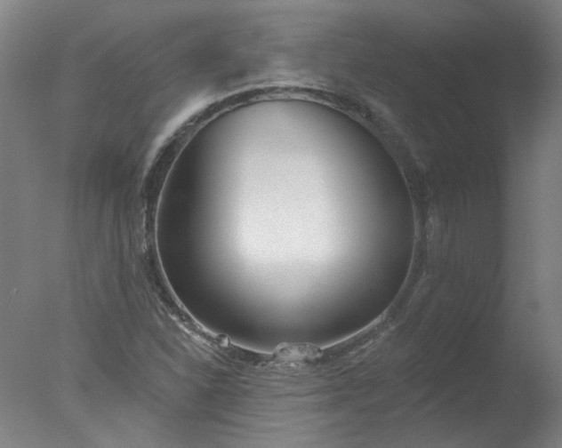 X0000077401310200610272028