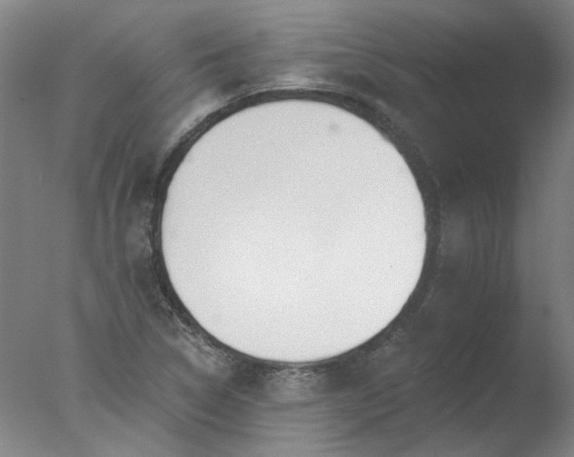 X0000077401314200610272028