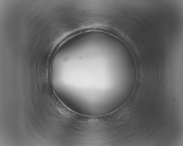 X0000077401316200610272028