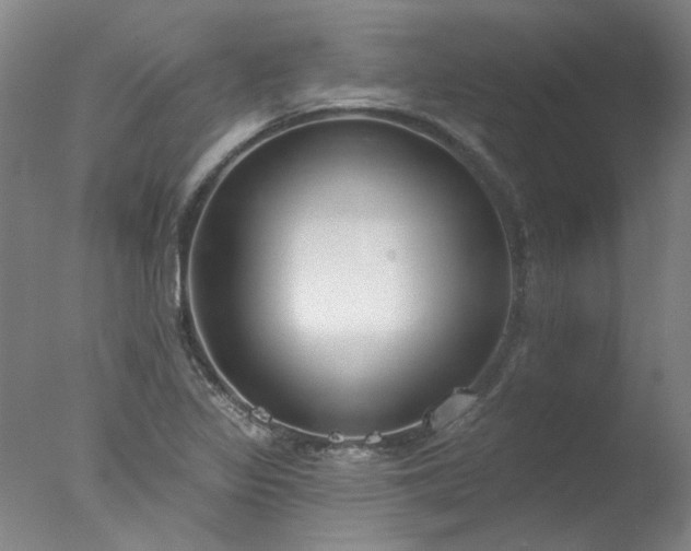X0000077401317200610272028
