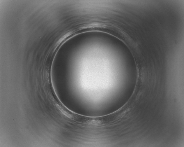 X0000077401321200610272028