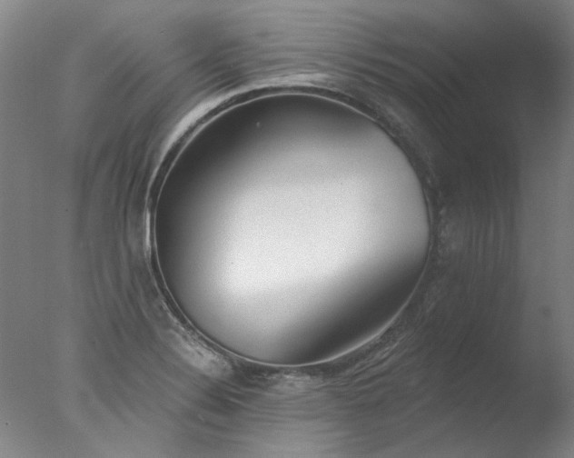 X0000077401324200610272028